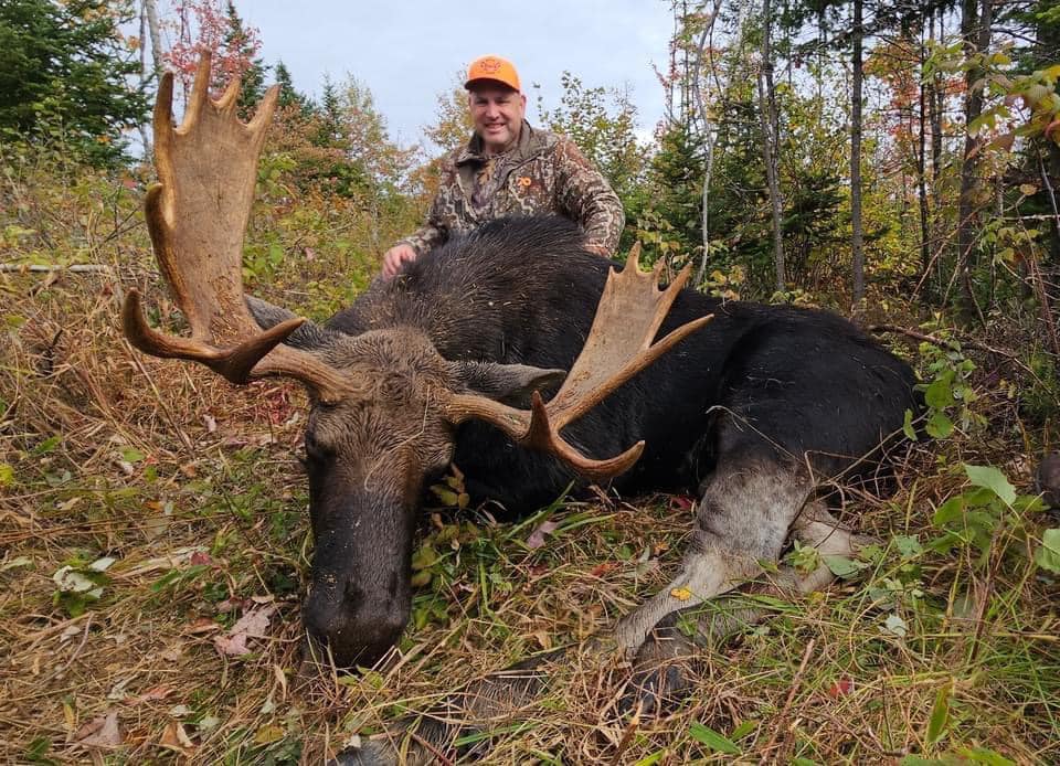 Moose Maine — photo 1